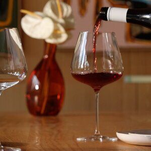 FABLE -  Pinot Noir Glasses PRO